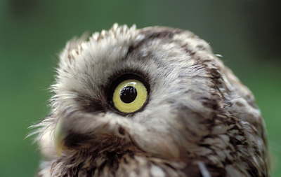 BUITEN BEELD Foto: 78146