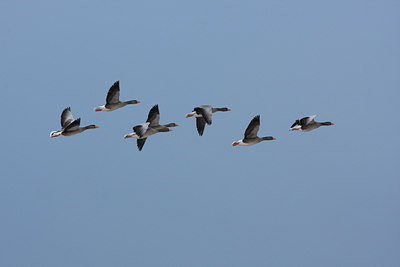 BUITEN BEELD Foto: 78180