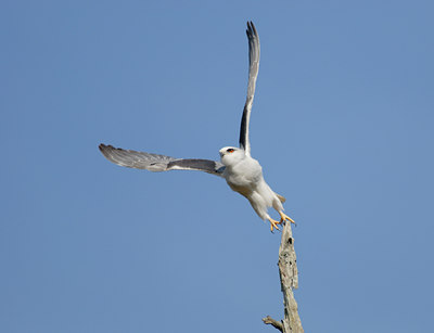 BUITEN BEELD Foto: 78199