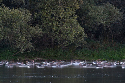 BUITEN BEELD Foto: 78216