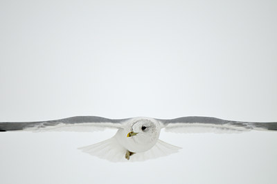 BUITEN BEELD Foto: 78349