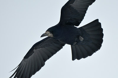 BUITEN BEELD Foto: 78351
