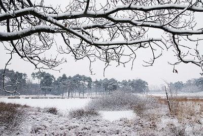 BUITEN BEELD Foto: 78381