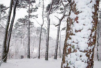 BUITEN BEELD Foto: 78382