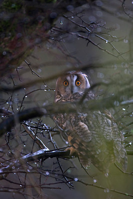 BUITEN BEELD Foto: 78392