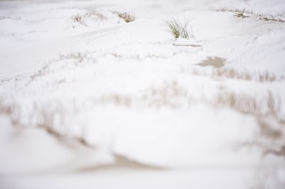 BUITEN BEELD Foto: 78395