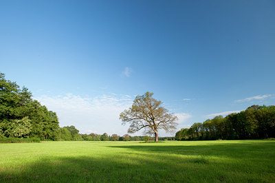 BUITEN BEELD Foto: 78414