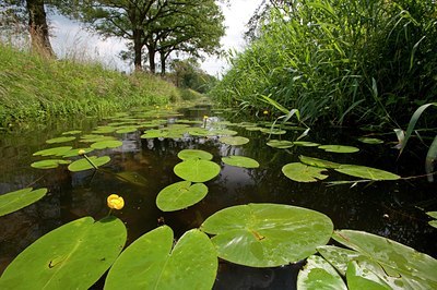 BUITEN BEELD Foto: 78416