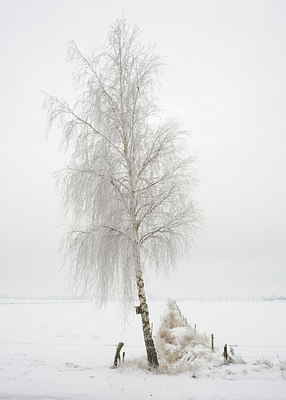 BUITEN BEELD Foto: 78430