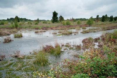 BUITEN BEELD Foto: 78439