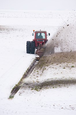 BUITEN BEELD Foto: 78532