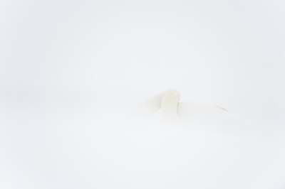 BUITEN BEELD Foto: 78543