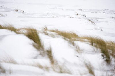 BUITEN BEELD Foto: 78545