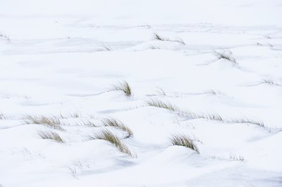 BUITEN BEELD Foto: 78546