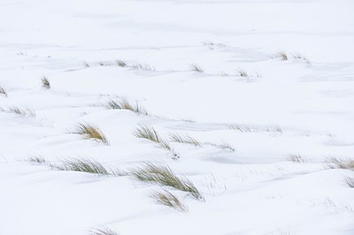 BUITEN BEELD Foto: 78548