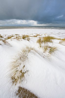 BUITEN BEELD Foto: 78549