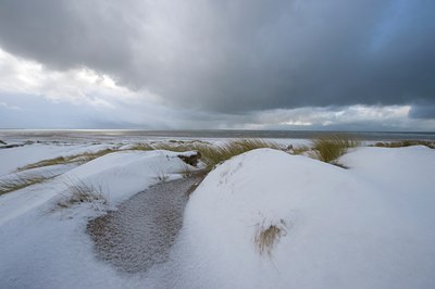 BUITEN BEELD Foto: 78550