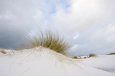 BUITEN BEELD Foto: 78552
