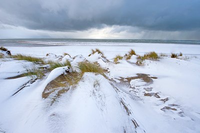 BUITEN BEELD Foto: 78553