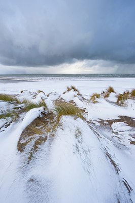 BUITEN BEELD Foto: 78554
