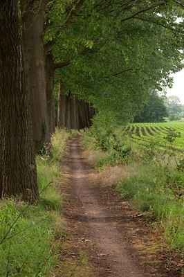 BUITEN BEELD Foto: 78571