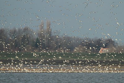 BUITEN BEELD Foto: 78602