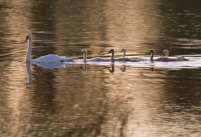 BUITEN BEELD Foto: 78612