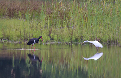 BUITEN BEELD Foto: 78616