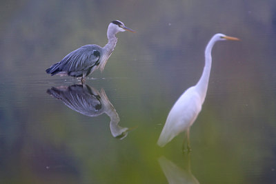 BUITEN BEELD Foto: 78624