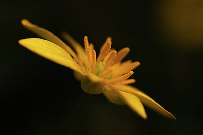 BUITEN BEELD Foto: 78629