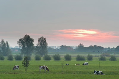 BUITEN BEELD Foto: 78650