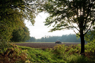 BUITEN BEELD Foto: 78656