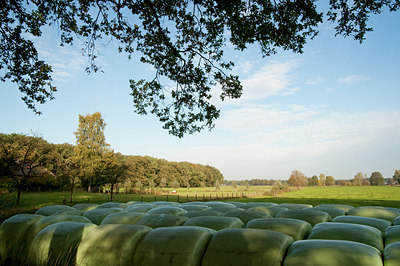 BUITEN BEELD Foto: 78657