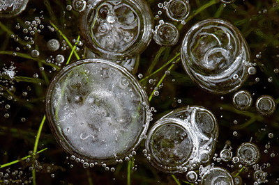 BUITEN BEELD Foto: 78660