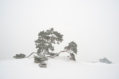 BUITEN BEELD Foto: 78663