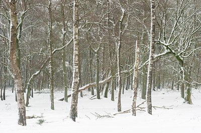 BUITEN BEELD Foto: 78674