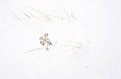 BUITEN BEELD Foto: 78690