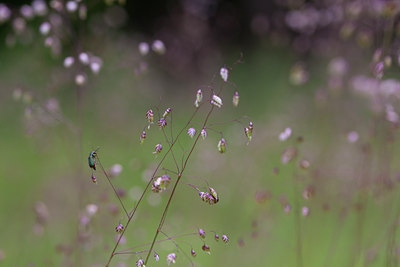 BUITEN BEELD Foto: 78708