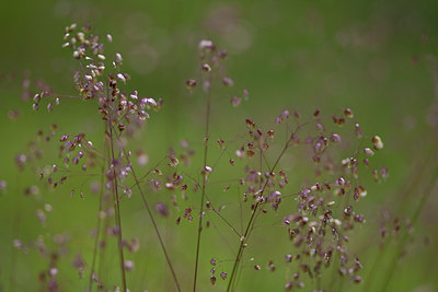 BUITEN BEELD Foto: 78709