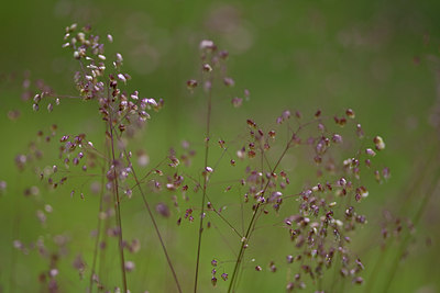 BUITEN BEELD Foto: 78709