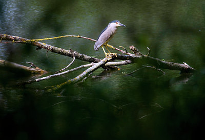 BUITEN BEELD Foto: 78722