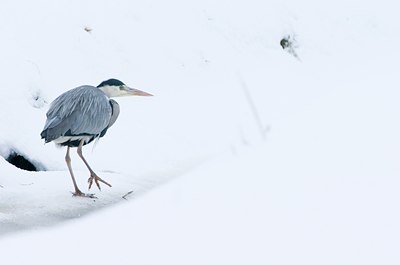 BUITEN BEELD Foto: 78751