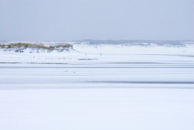 BUITEN BEELD Foto: 78765