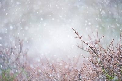 BUITEN BEELD Foto: 78769