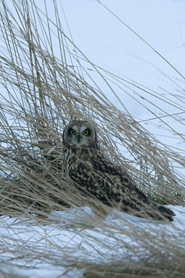 BUITEN BEELD Foto: 78781