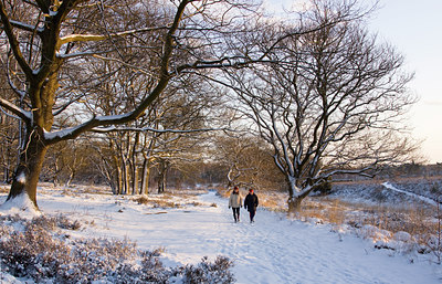 BUITEN BEELD Foto: 78792