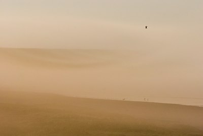 BUITEN BEELD Foto: 78819