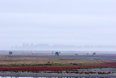 BUITEN BEELD Foto: 78825