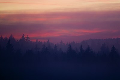 BUITEN BEELD Foto: 78856