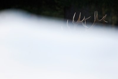 BUITEN BEELD Foto: 78873